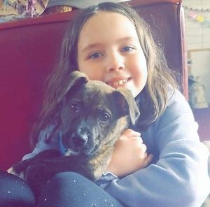 Meet your Posher, Tara